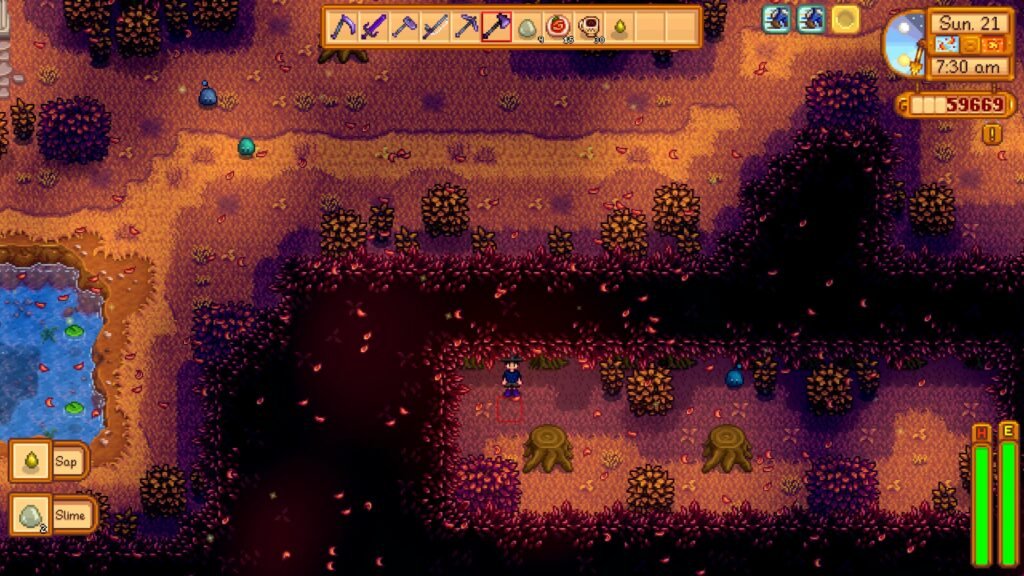 hidden area in the secret woods 