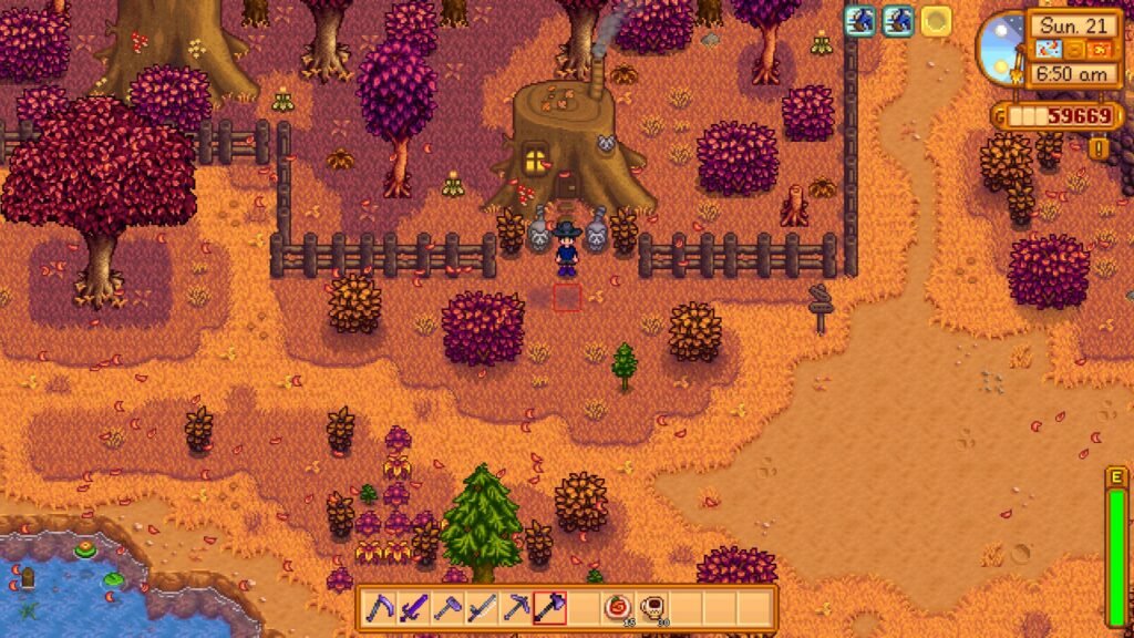 Raccoons house where you can buy mahogany seeds